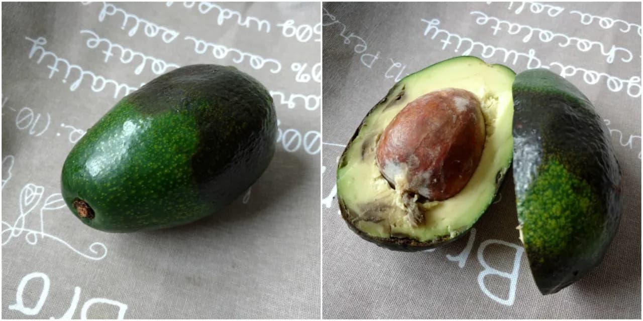 Jakie awokado do guacamole? Wybierz najlepsze dla idealnego smaku