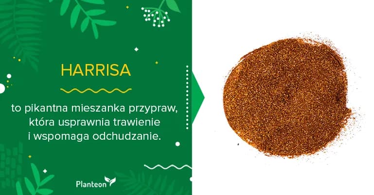 Jak zrobić przyprawę harissa – prosty przepis na wyjątkowy smak